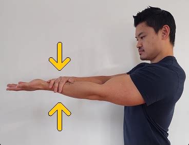 biceps long head tear test|long head bicep rupture exercises.